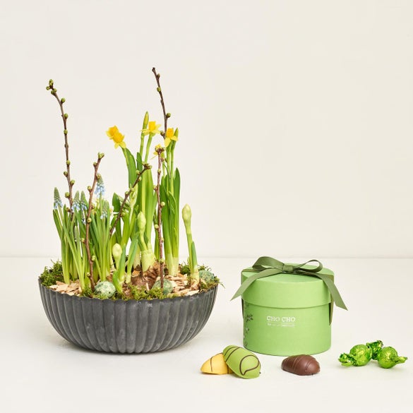 Forårsskål med blandede løg med forårsæske